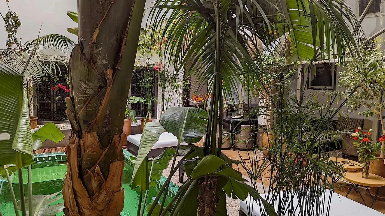 Riad Jardin Des Sens & Spa Marrakesh